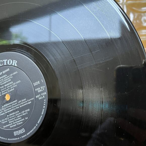 The Group Quake Compilation Vinyl LP 1968 RCA Victor SPS 33-525 Promo - Picture 6 of 16